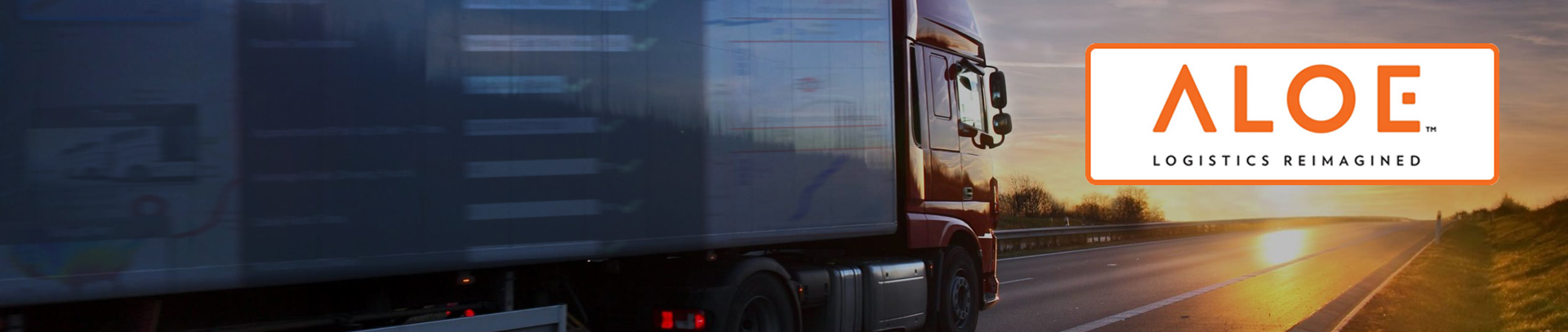 Advanced Logistics Optimization Engineering (ALOE) Group